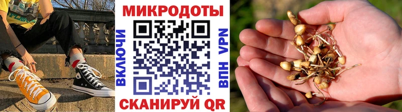 как найти Хадыженск Галлюциногенные грибы Cubensis